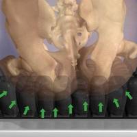 article97_image3_original