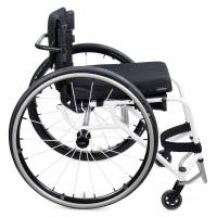 Panthera_Y3_light_1250_3_original