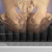 article315_image14_original