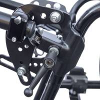 LipoLomoPico_Main_2_big_original