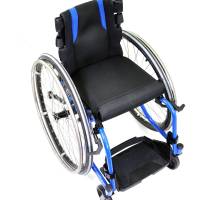 Panthera_Bambino_3_BIRD_1250_original