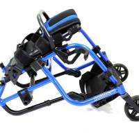 Panthera_Bambino_3_TRANSPORT_1250_original