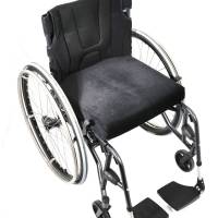 panthera_S3_swing_k_BIRD_1250_original