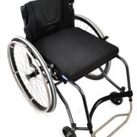 Panthera_S3_large_bird_1250_original